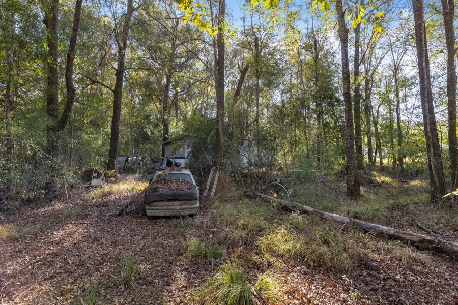 18850 N Rayburn Drive, Conroe, TX 77302 - Image #3