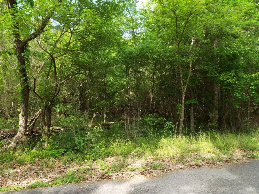 Lot 34 Dogwood Road, Huntsville, TX 77320 - Image #2