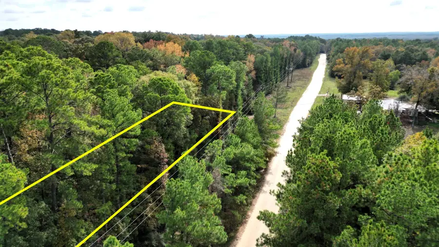 375 Rock Creek Drive, Trinity, TX 75862 - Image #2