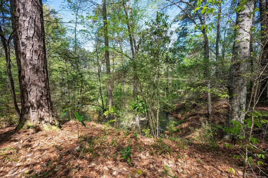 tbd County Road 138, Jasper, TX 75951 - Image #2