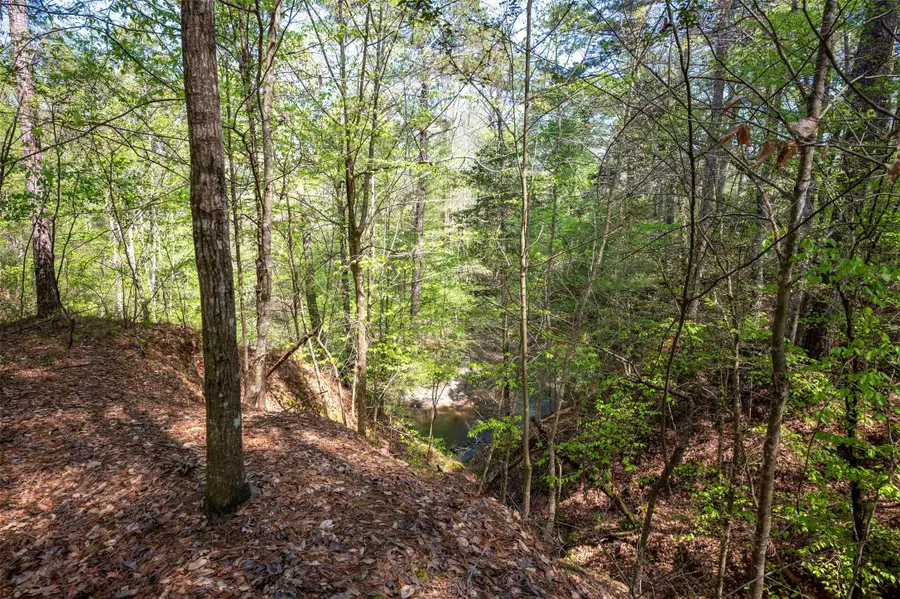 tbd County Road 138, Jasper, TX 75951 - Image #3