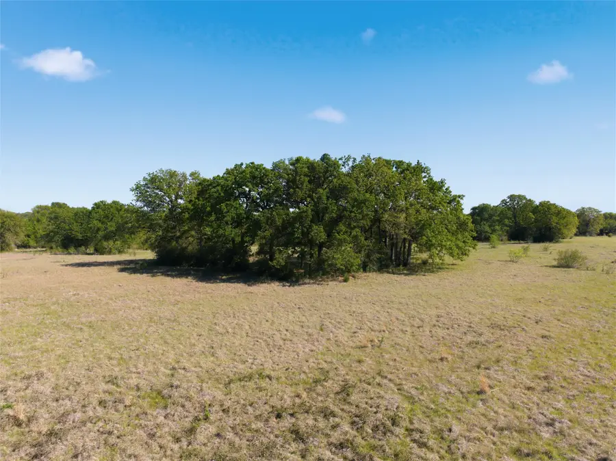 00 Fm 3371, Groesbeck, TX 76642 - #3