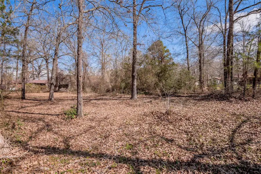 383 Autumn Lane, Livingston, TX 77351 - #3