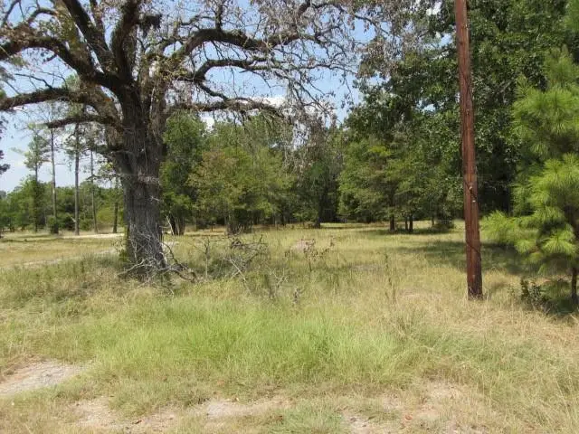 31,33, 35 Park Lane Land, Huntsville, TX 77320 - #2