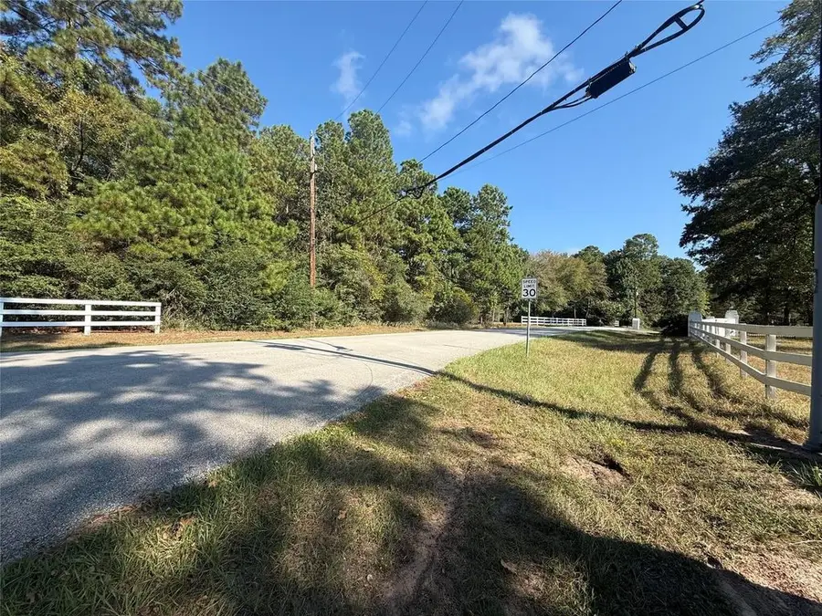 0 Lago Drive, Magnolia, TX 77354 - #3