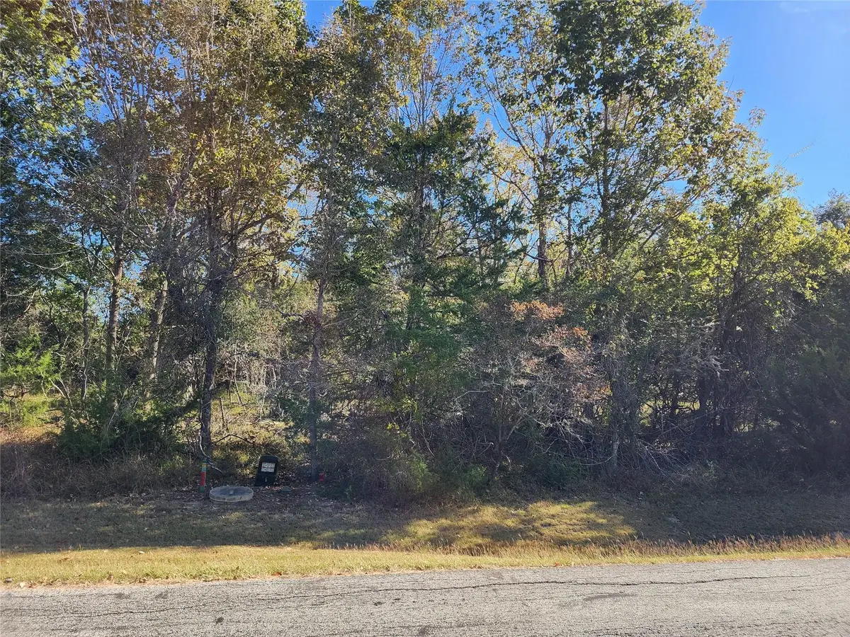 10 N Forest Cove Loop, Coldspring, TX 77331 - #1