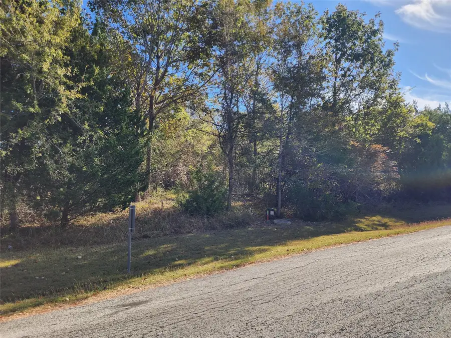 10 N Forest Cove Loop, Coldspring, TX 77331 - #2