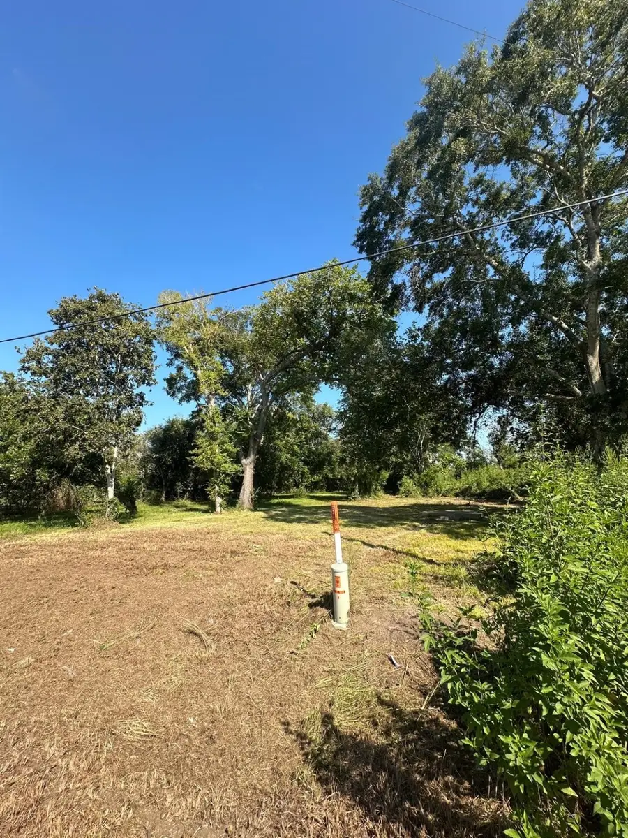 226 W Jackson Street, West Columbia, TX 77486 - Image #2