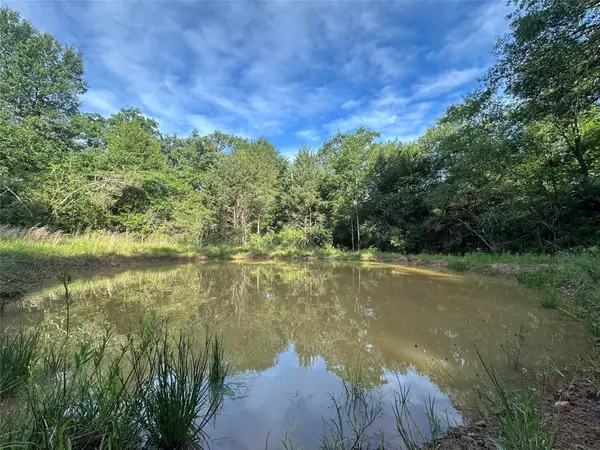 9AC Cr 770, Buffalo, TX 75831