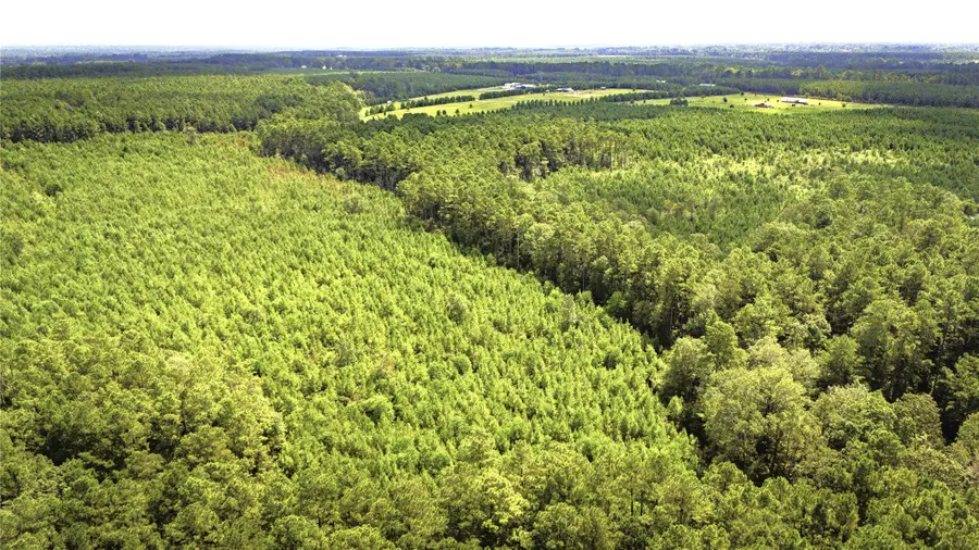 TBD Stutts Hill, Livingston, TX 77351 - #2