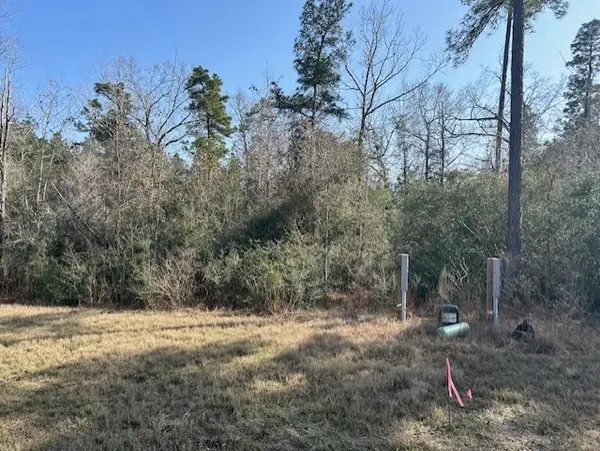 380 Iron Horse Road, New Waverly, TX 77358