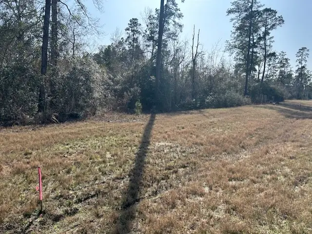 380 Iron Horse Road, New Waverly, TX 77358 - Image #2