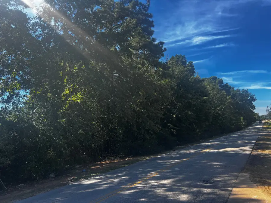TBD Buddy Riley Blvd, Magnolia, TX 77354 - Image #3