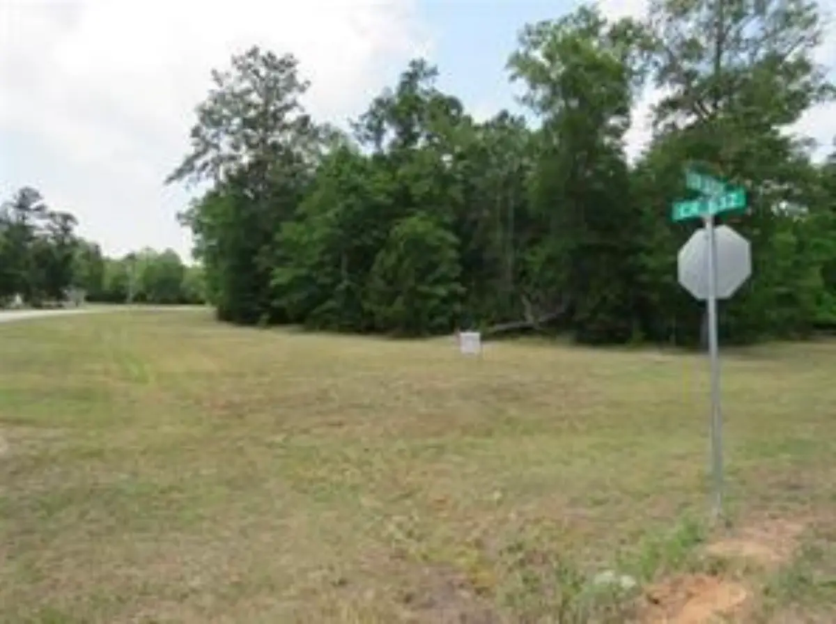 1230 County Road 6324, Dayton, TX 77535 - #1