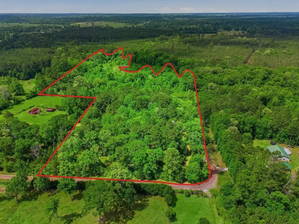 151 Parker Road, New Waverly, TX 77358 - #1