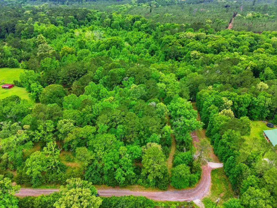 151 Parker Road, New Waverly, TX 77358 - #3