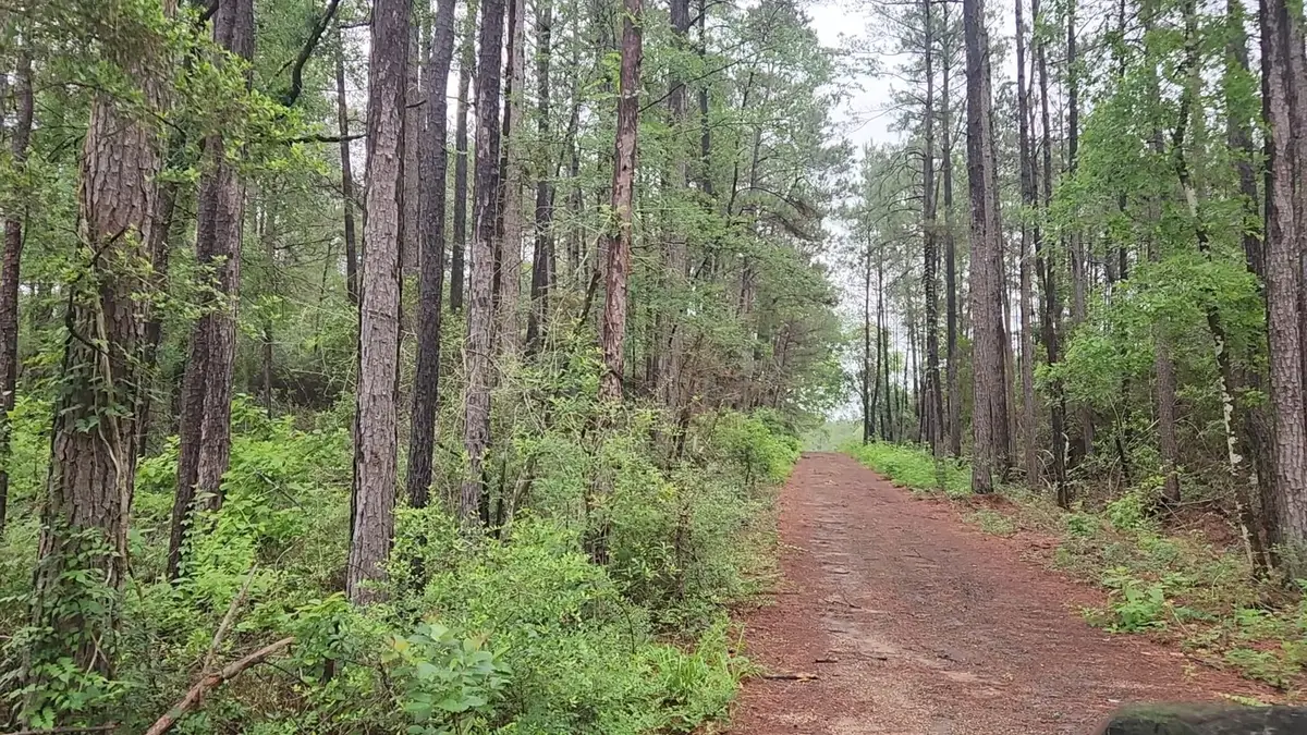 Lot 33 Gum Tree Lane, Plantersville, TX 77363 - #1