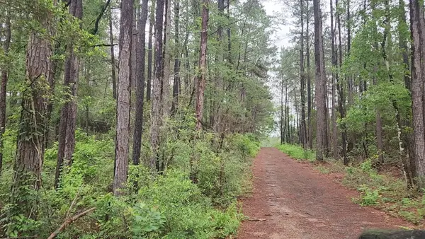 Lot 33 Gum Tree Lane, Plantersville, TX 77363