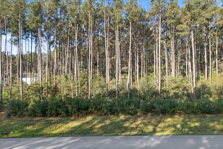 TBD Lonestar Road, Huntsville, TX 77340 - #2