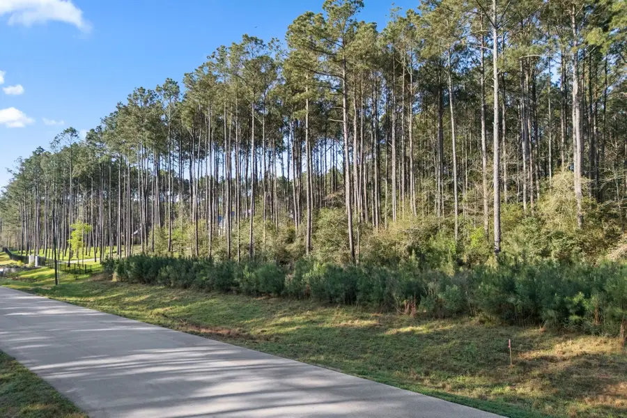 TBD Lonestar Road, Huntsville, TX 77340 - #3