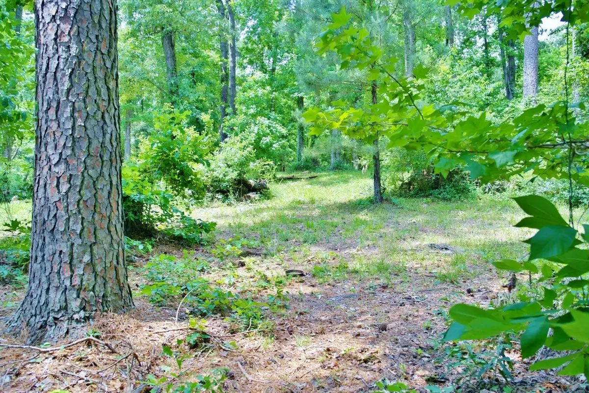 Lot 695 Lake Shore Drive, Coldspring, TX 77331 - Image #1