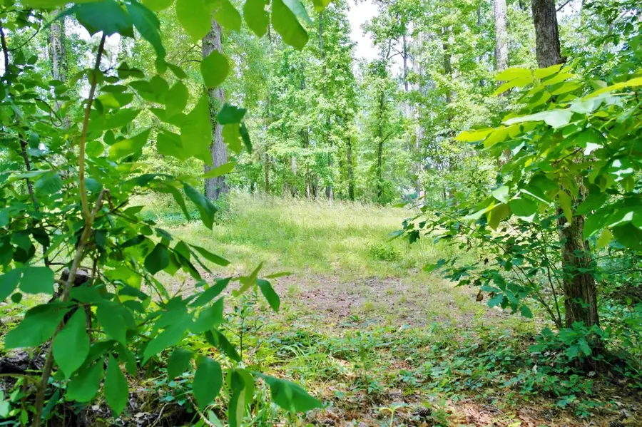 Lot 695 Lake Shore Drive, Coldspring, TX 77331 - Image #2