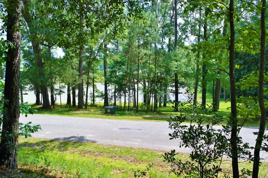 Lot 695 Lake Shore Drive, Coldspring, TX 77331 - Image #3