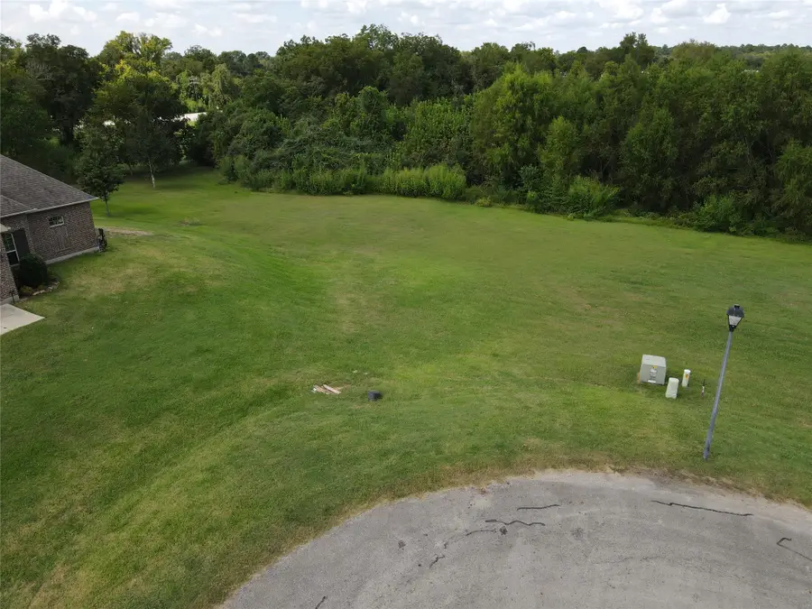 142 Anna Springs Lane, Montgomery, TX 77356 - Image #3