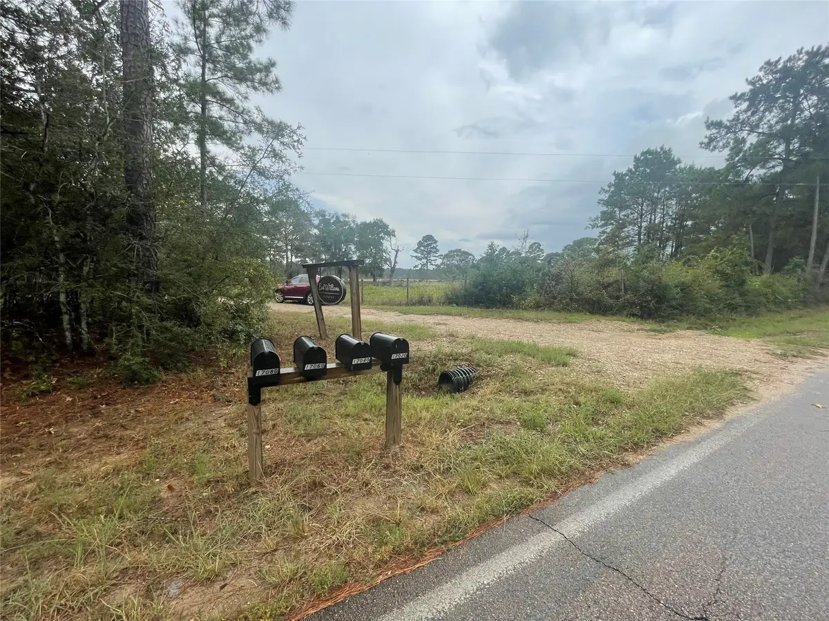 17040 E William Road, Conroe, TX 77303 - Image #1