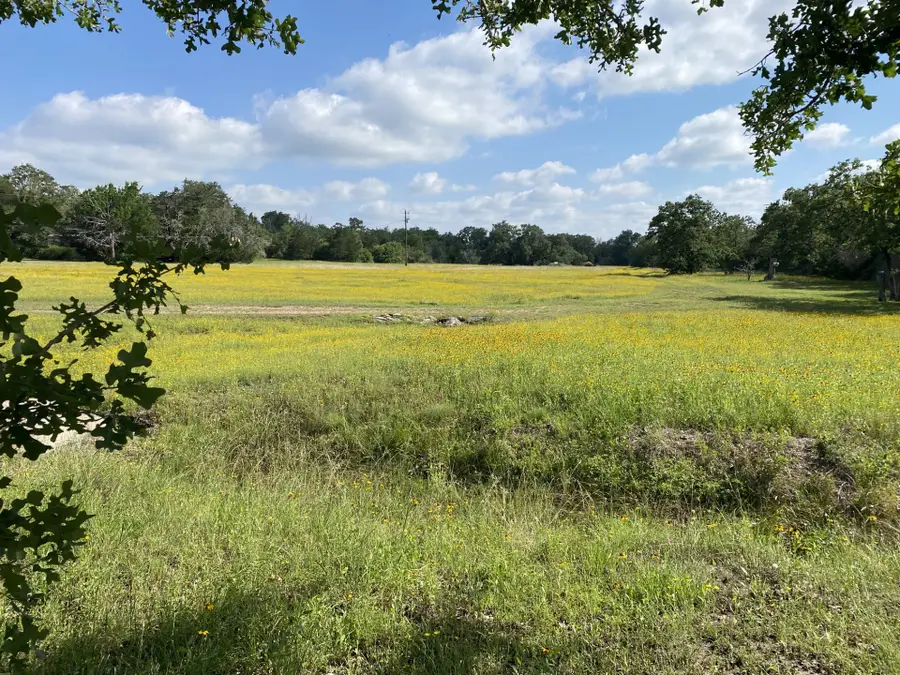 3685 Nixon Lake Road, Carmine, TX 78932 - #3