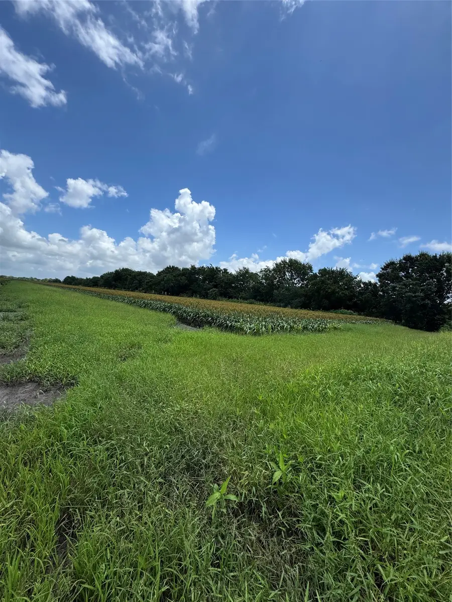 000 Hartledge Road, Rosenberg, TX 77471 - #2
