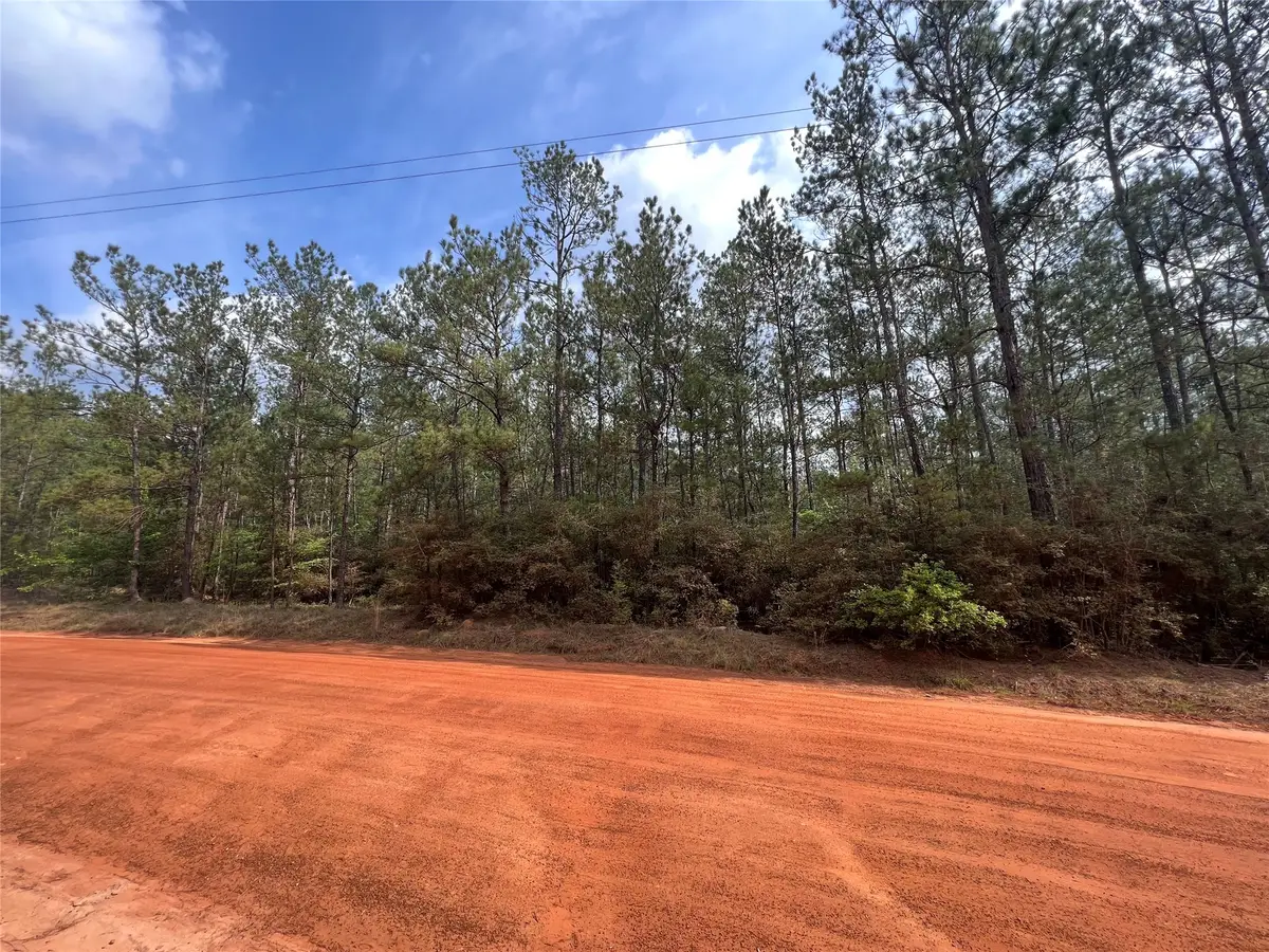 00 Forest Valley Drive, Cleveland, TX 77328 - Image #1