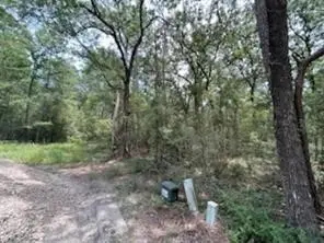 0 Hackberry Ct, Huntsville, TX 77320 - #3