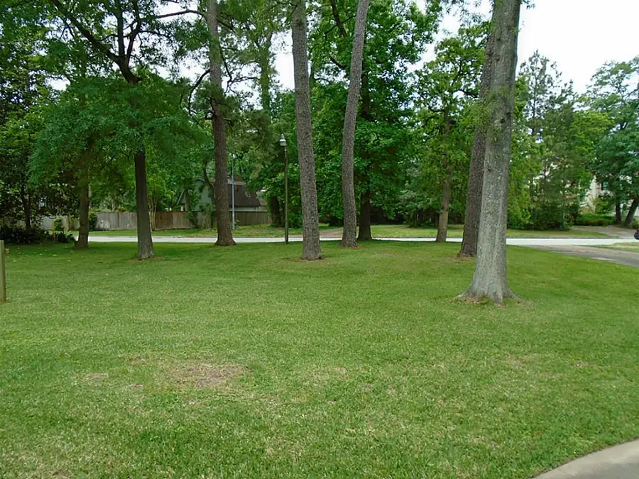 1310 Sue Barnett Drive, Houston, TX 77018 - #3