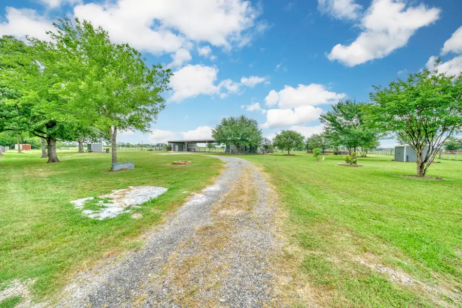 30.0124 Acres Dutton Lane, Madisonville, TX 77864 - Image #3