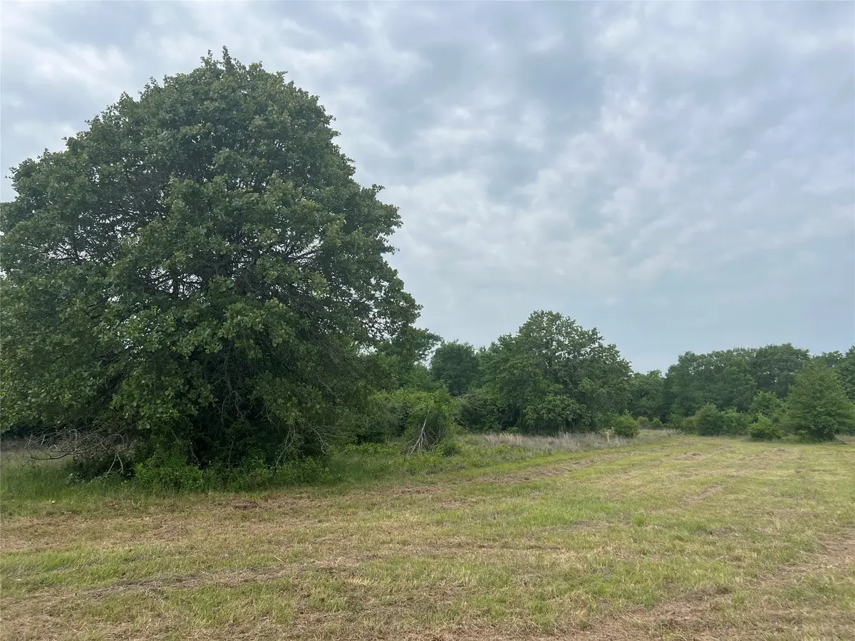 Tract # 3 County Road 124, Iola, TX 77861 - Image #1