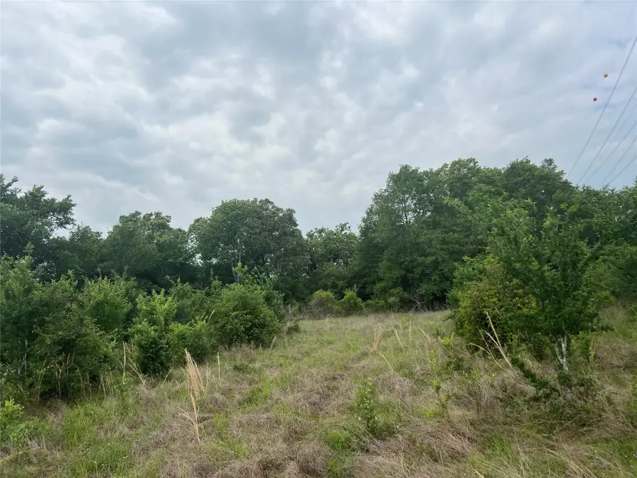 Tract # 3 County Road 124, Iola, TX 77861 - Image #2