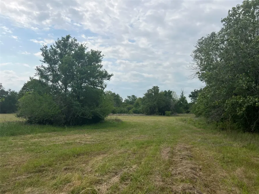 Tract # 3 County Road 124, Iola, TX 77861 - Image #3