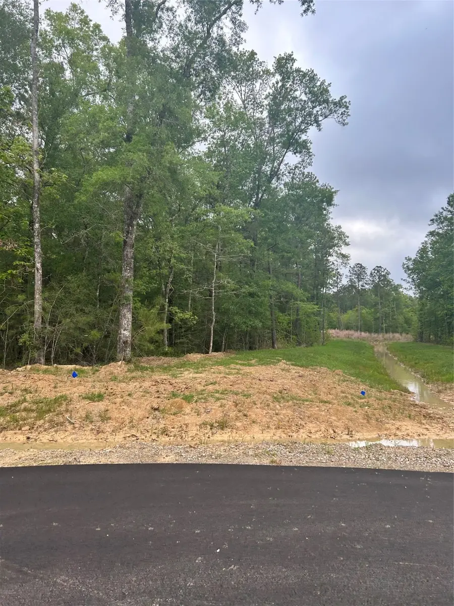 1138 County Road 6324, Dayton, TX 77535 - Image #3