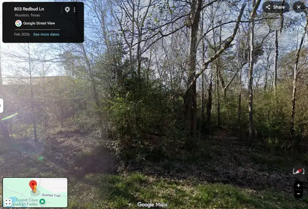 803 Red Bud Lane, Kingwood, TX 77339