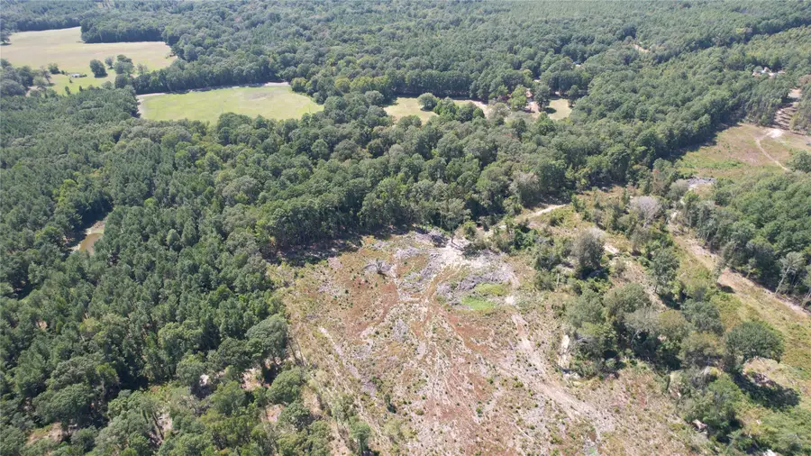 0 Plainview Road, Pineland, TX 75968 - Image #3