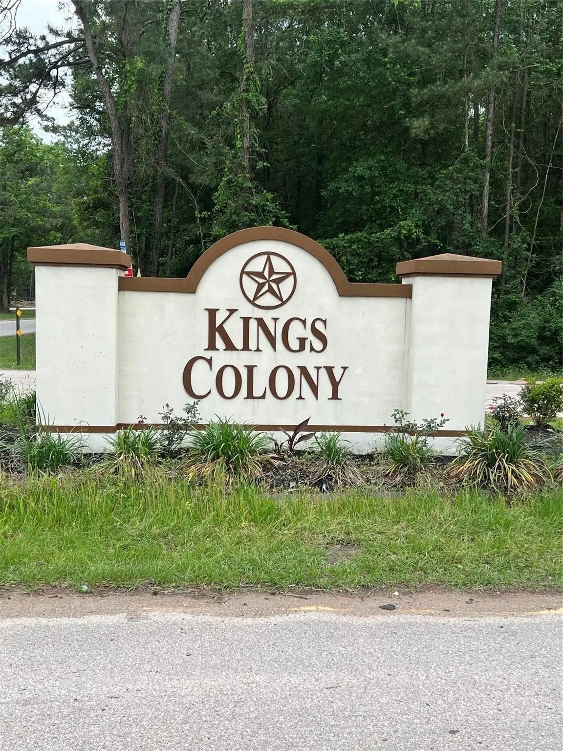 19177 Bedford, New Caney, TX 77357 - #1