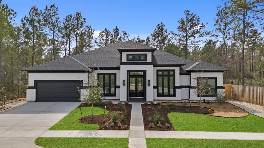 41663 Wendele Way, Montgomery, TX 77316 - #2