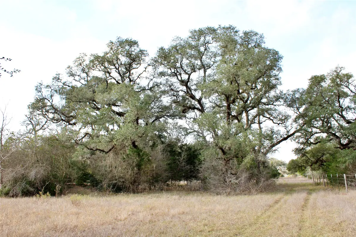 TBD Parcel 12 Lobo Lane, Columbus, TX 78934 - #1