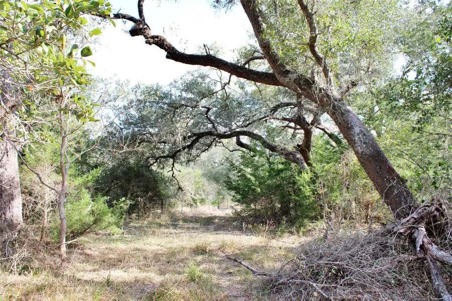 TBD Parcel 12 Lobo Lane, Columbus, TX 78934 - #2