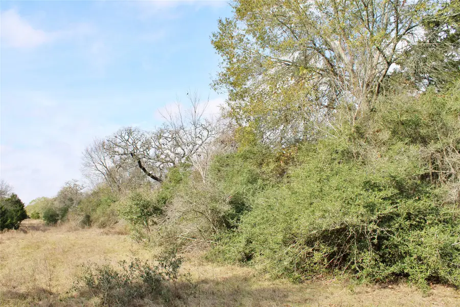 TBD Parcel 12 Lobo Lane, Columbus, TX 78934 - #3