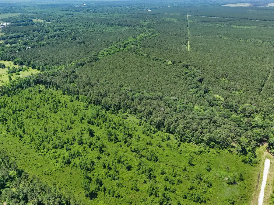 TBD County Road 2235, Cleveland, TX 77327 - #2