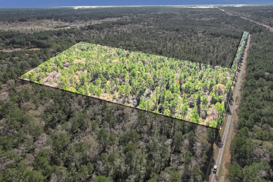 TBD Cr 302, Plantersville, TX 77363 - #2