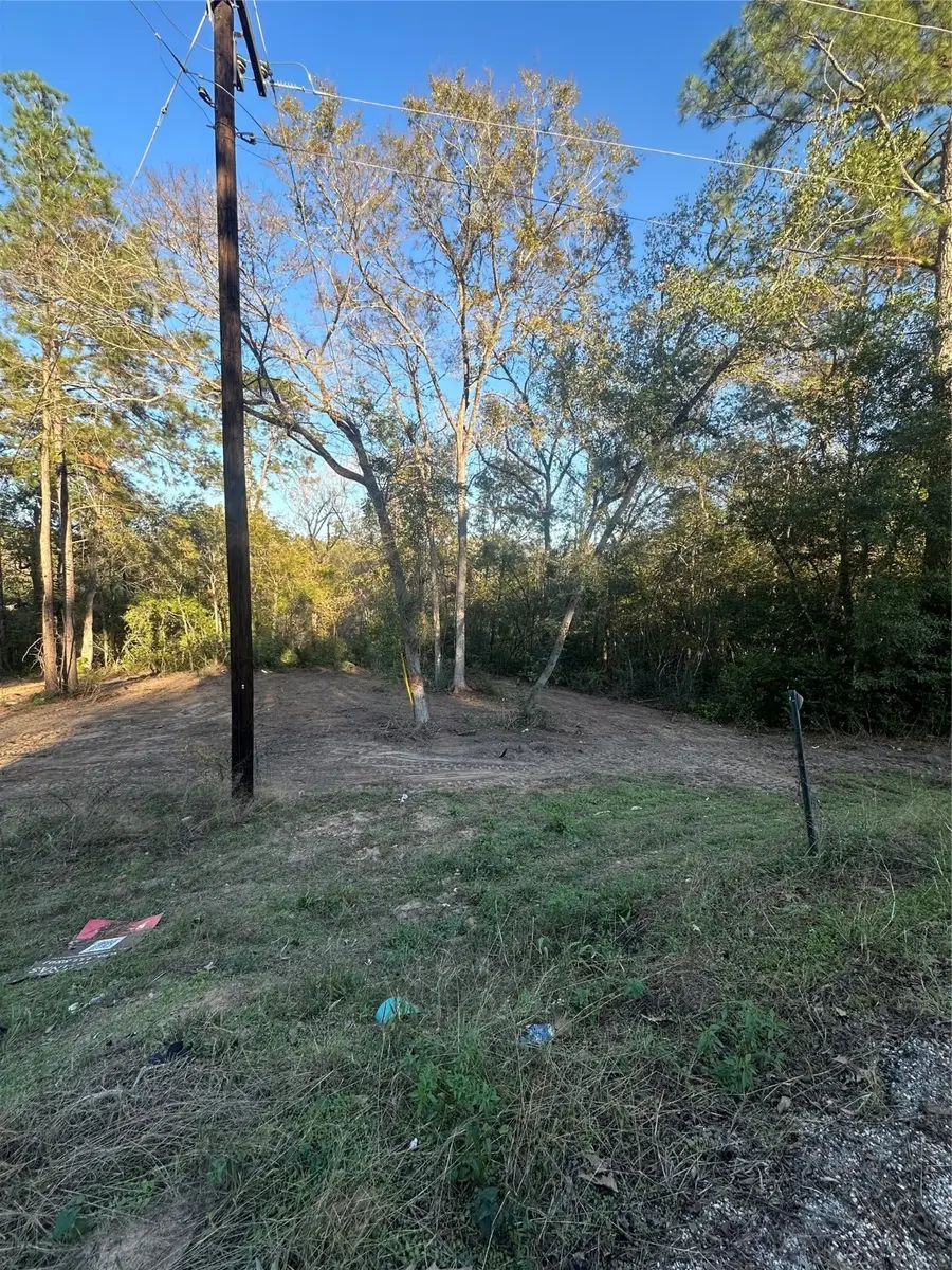 12604 Rolling Wood Loop, Conroe, TX 77303 - Image #2