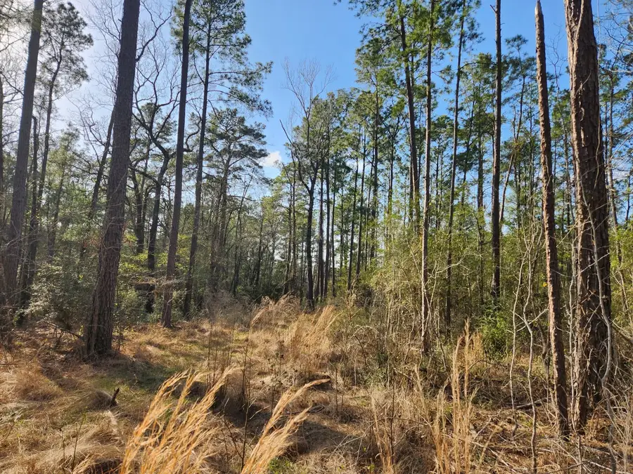 1038 Counts Rd, Point Blank, TX 77364 - Image #2